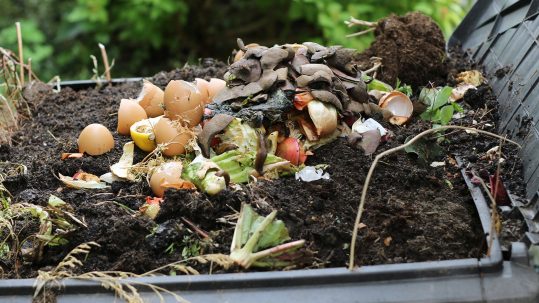 Vos questions repondues pour les matières organiques de la Ville de Rosemère