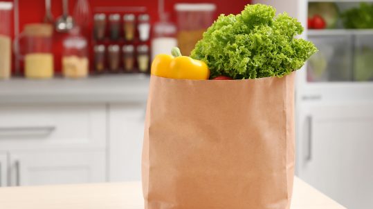 Sac de papier ou sac de plastique compostable… lequel choisir pour la collecte?